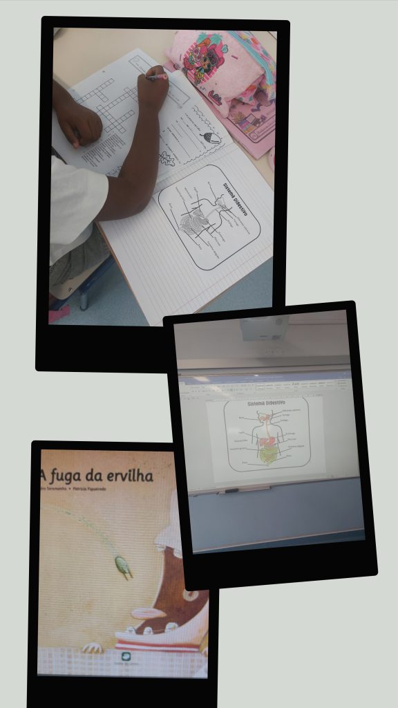 1000028412-576x1024 🌱 Dia da Alimentação 🌱 (3ºA)