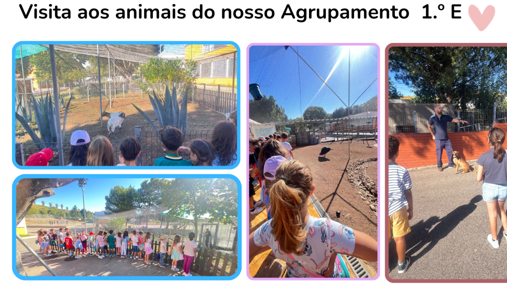 3-1024x576 Dia do Animal (1ºE)