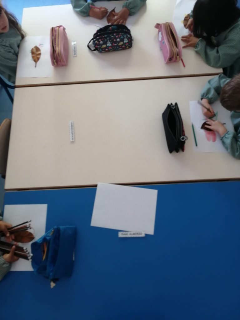 IMG-20251005-WA0094-768x1024 As cores do outono (sala verde - JI da Mina)