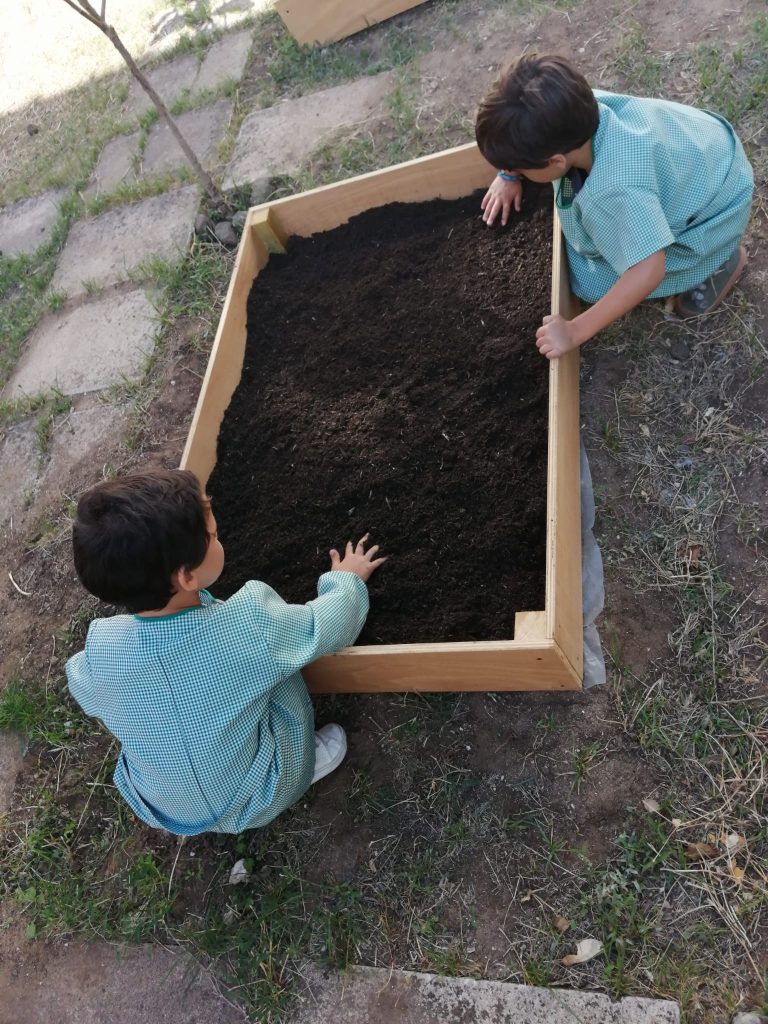 IMG-20251013-WA0003-768x1024 Horta Pedagógica /Biológica (EB1/JI da Mina)