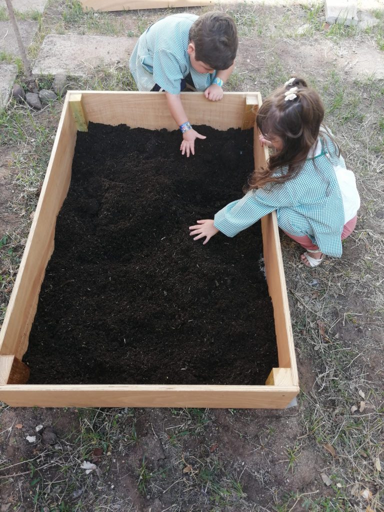 IMG-20251013-WA0004-768x1024 Horta Pedagógica /Biológica (EB1/JI da Mina)