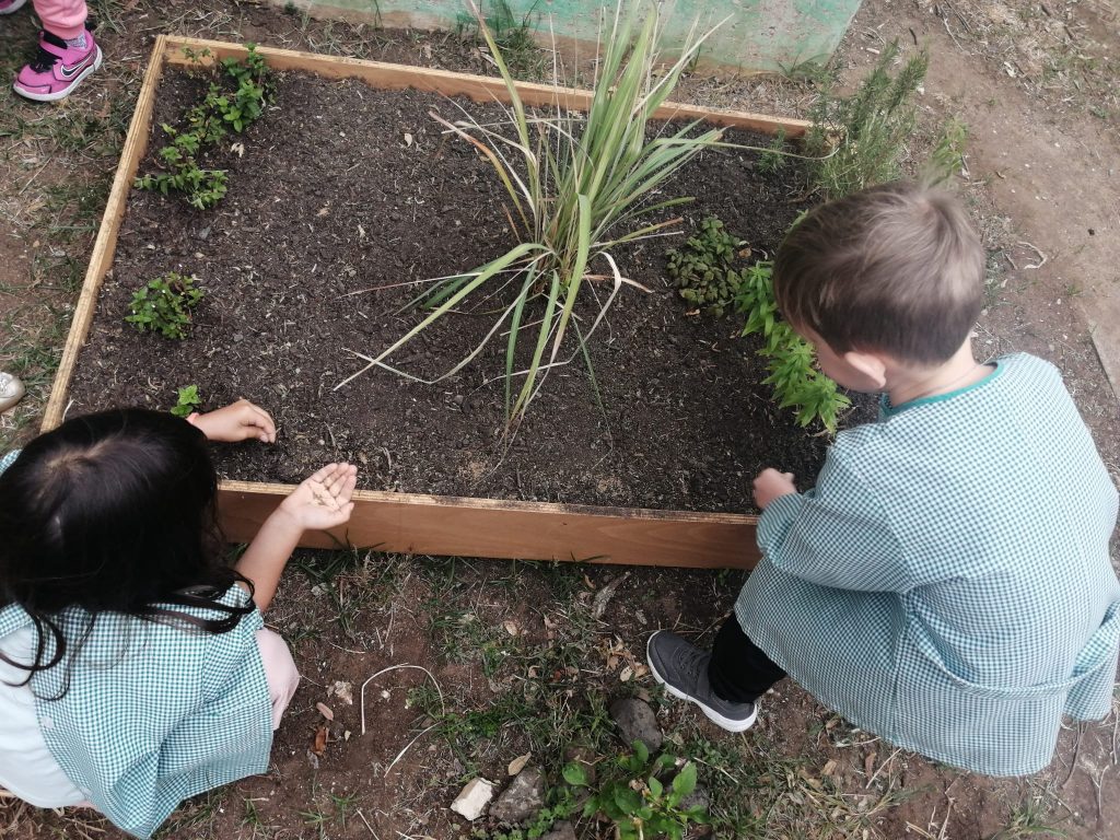 IMG-20251013-WA0008-1024x768 Horta Pedagógica /Biológica (EB1/JI da Mina)