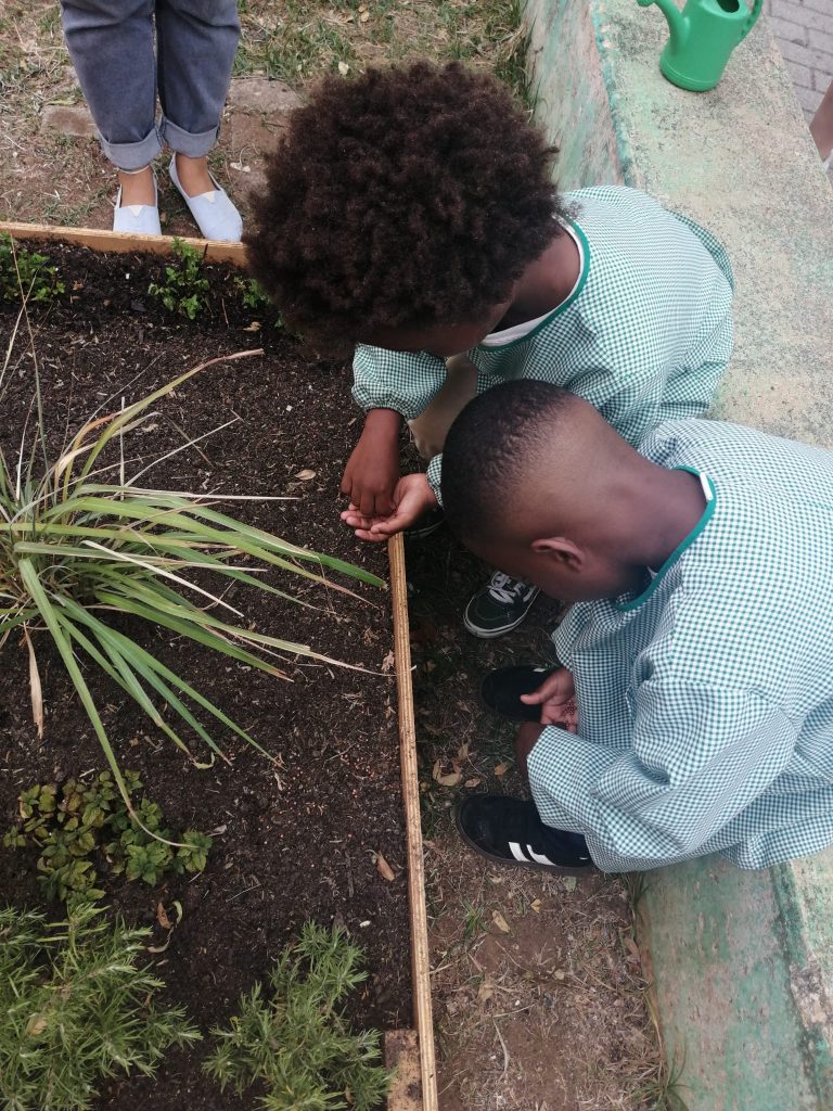 IMG-20251013-WA0009-768x1024 Horta Pedagógica /Biológica (EB1/JI da Mina)