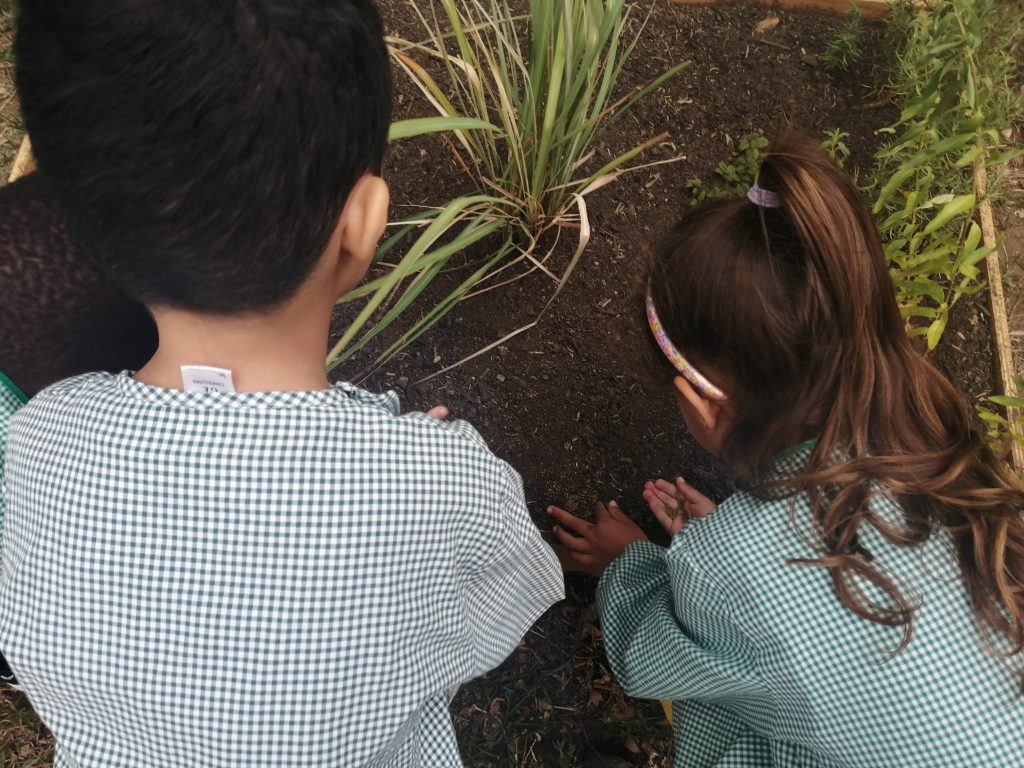 IMG-20251013-WA0010-1024x768 Horta Pedagógica /Biológica (EB1/JI da Mina)