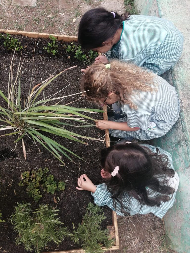 IMG-20251013-WA0011-768x1024 Horta Pedagógica /Biológica (EB1/JI da Mina)