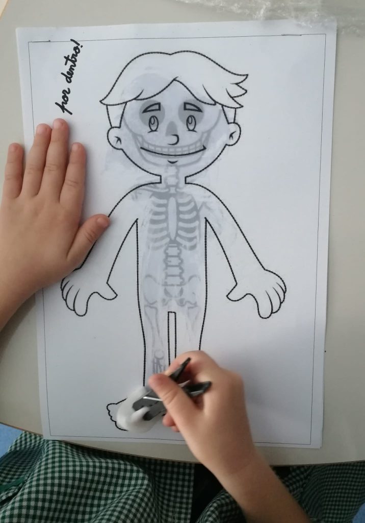 IMG-20251013-WA0022-716x1024 A aprender somos felizes (sala verde - JI da Mina)