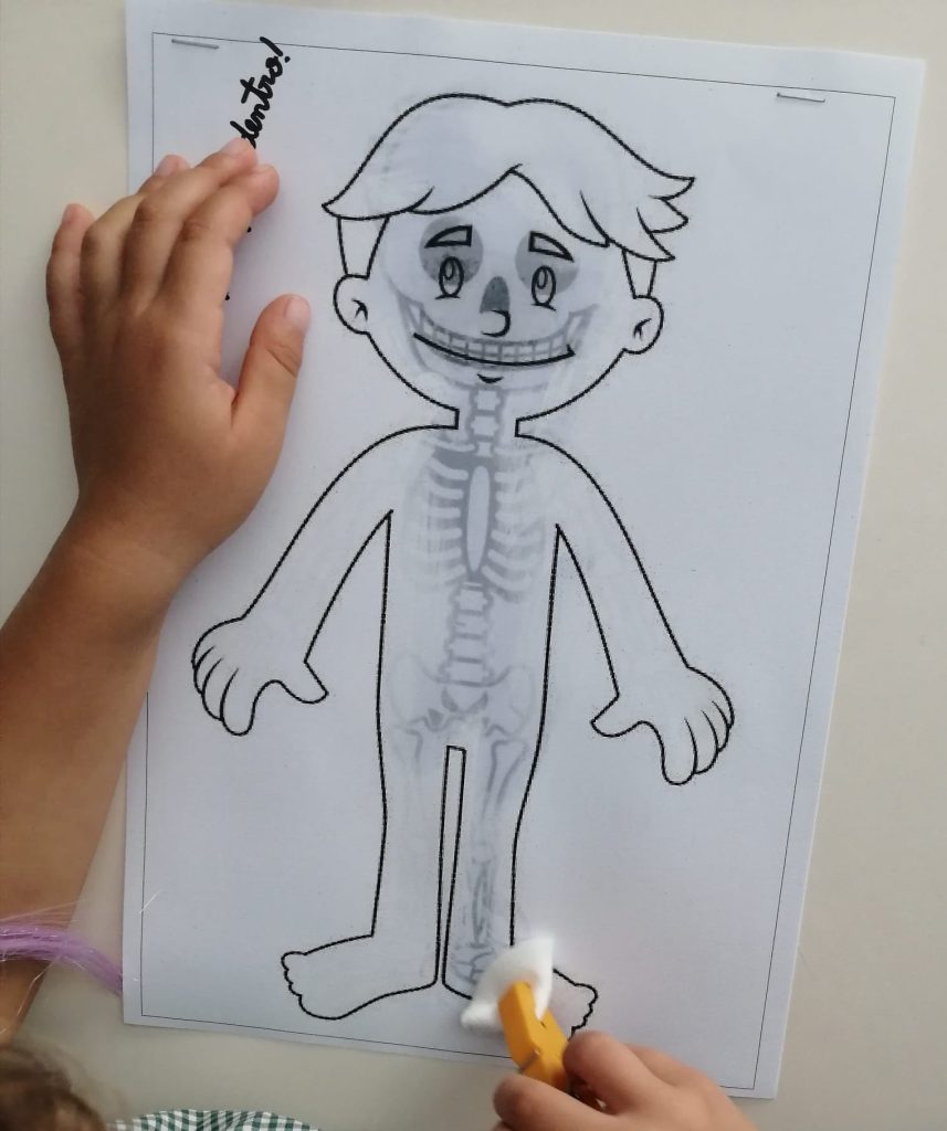 IMG-20251013-WA0025-857x1024 A aprender somos felizes (sala verde - JI da Mina)