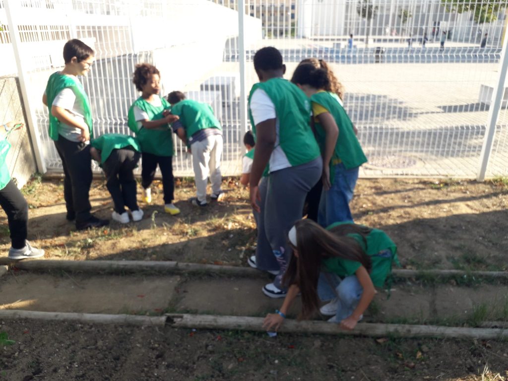 IMG-20251015-WA0005-1024x768 Escola Limpa (EB1/JI Aprígio Gomes)