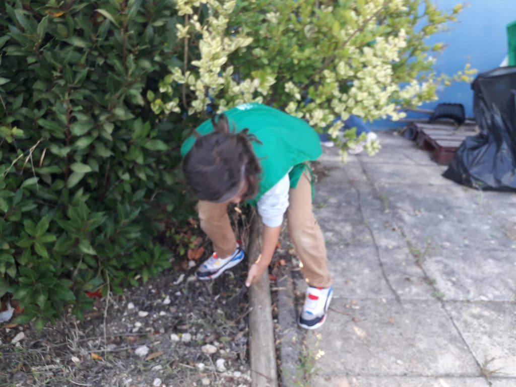 IMG-20251015-WA0006-1024x768 Escola Limpa (EB1/JI Aprígio Gomes)