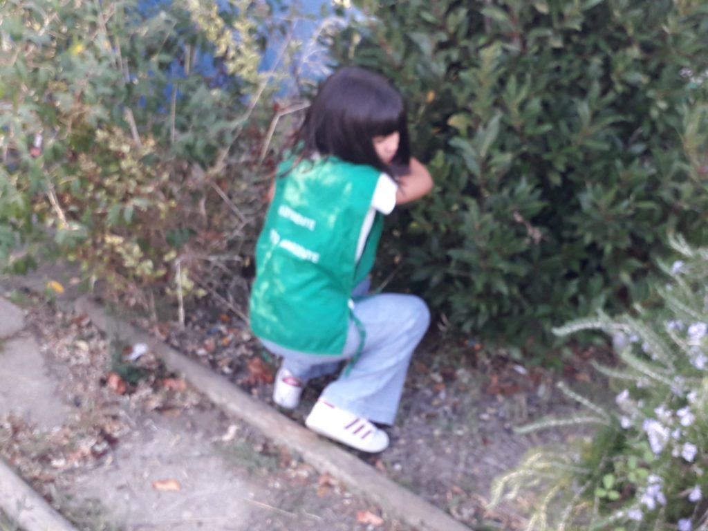 IMG-20251015-WA0007-1024x768 Escola Limpa (EB1/JI Aprígio Gomes)