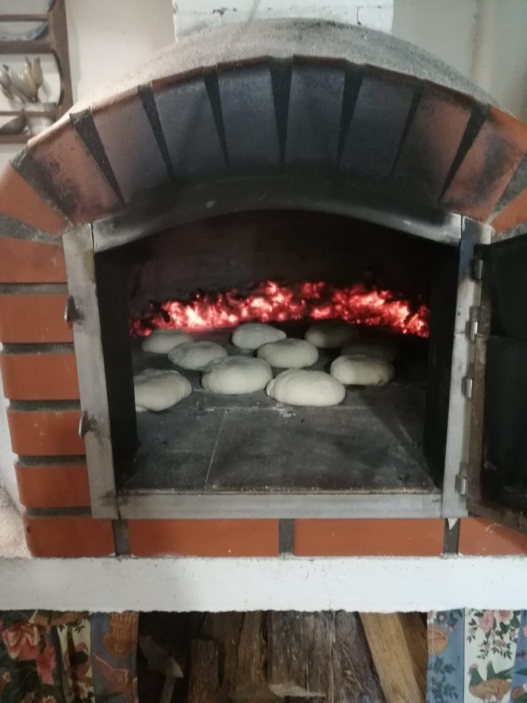 IMG-20251019-WA0028-768x1024 Visita ao Museu (sala verde - JI da Mina)