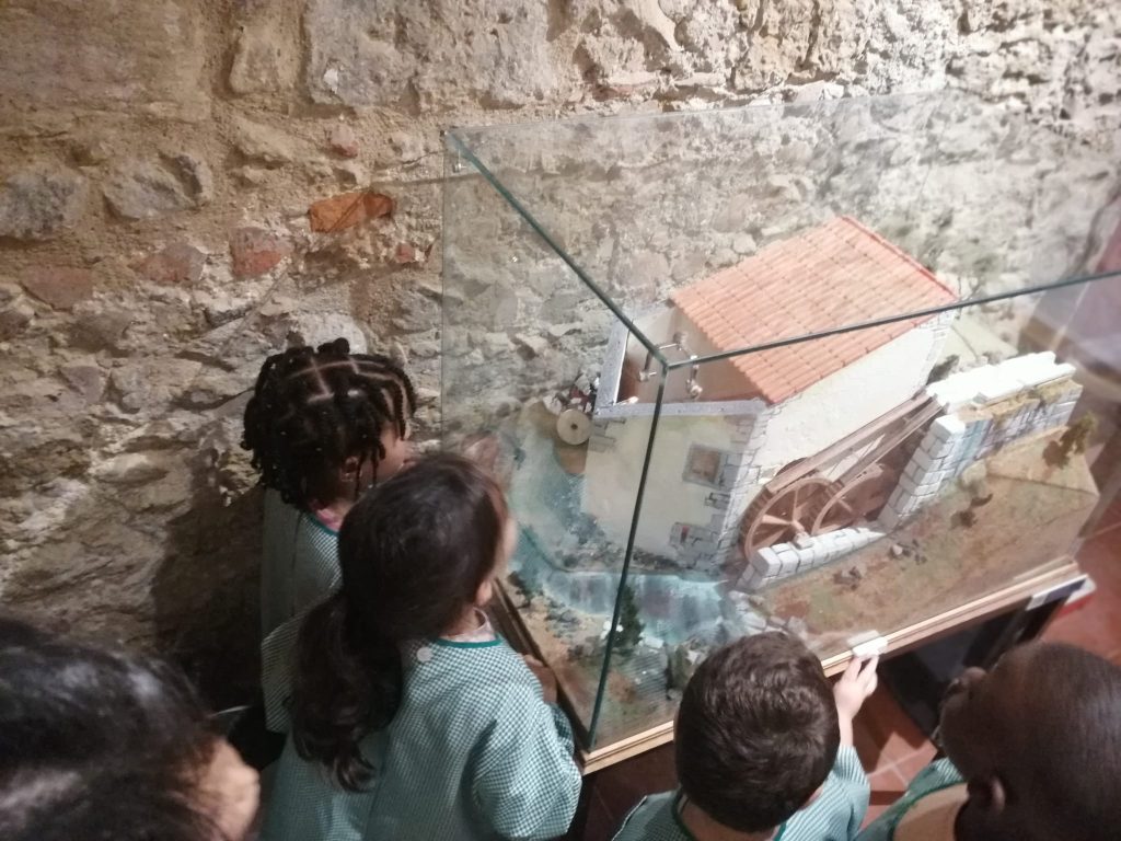 IMG-20251019-WA0035-1024x768 Visita ao Museu (sala verde - JI da Mina)