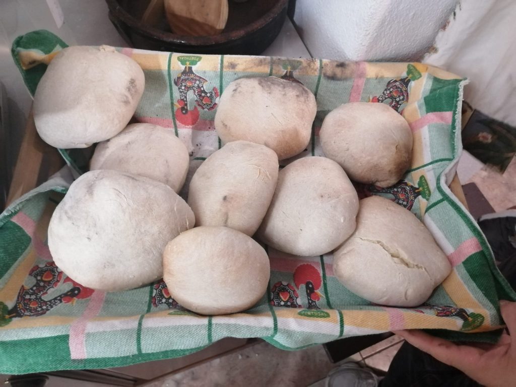 IMG-20251019-WA0038-1024x768 Visita ao Museu (sala verde - JI da Mina)