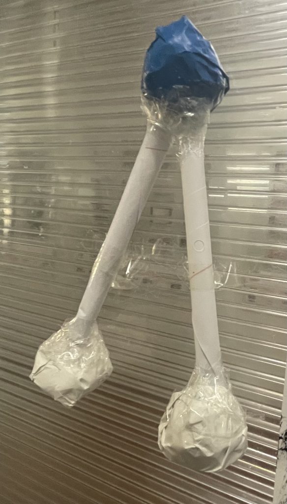 IMG_9669-584x1024 Semana do Espaço - FQ 8.º B