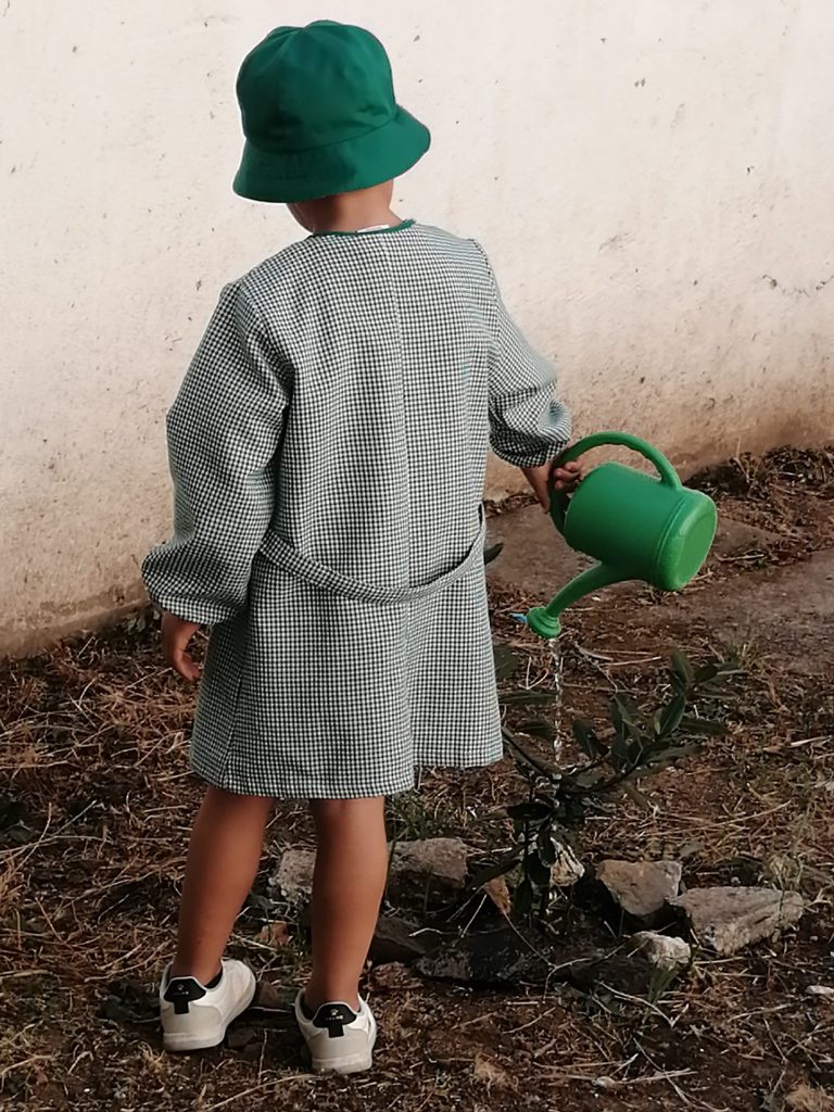 Imagem-WhatsApp-2025-09-28-as-13.54.16_d847a37e-1-768x1024 Horta Biológica (EB1/JI Mina)