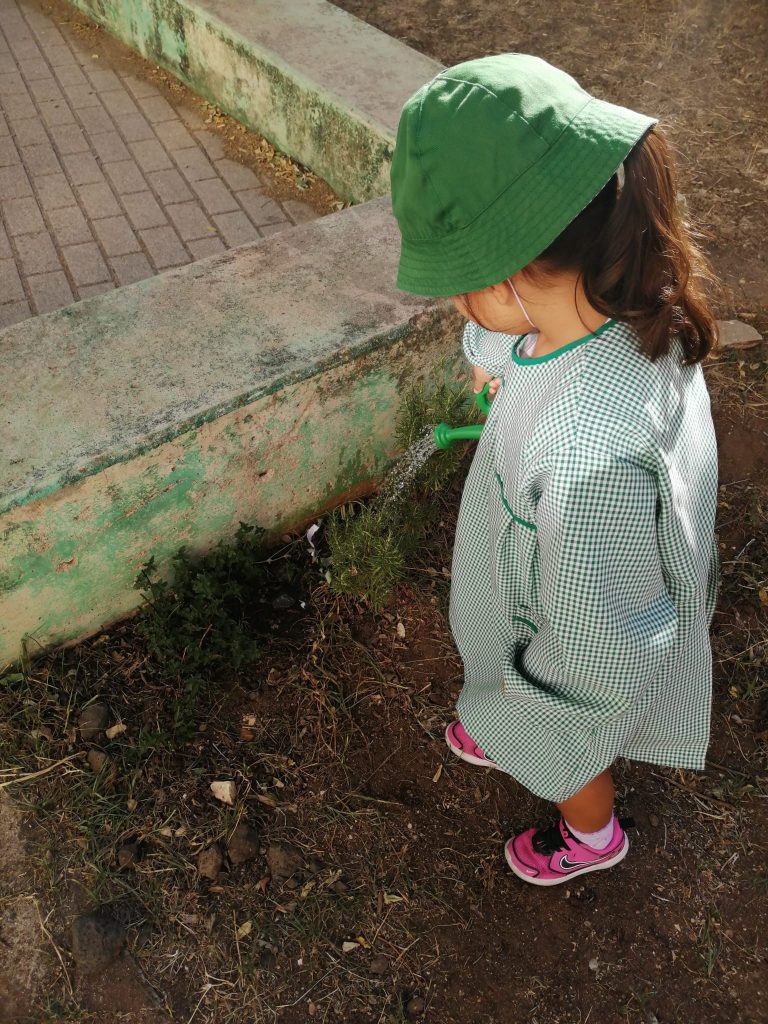 Imagem-WhatsApp-2025-09-28-as-13.54.17_8c032948-1-768x1024 Horta Biológica (EB1/JI Mina)