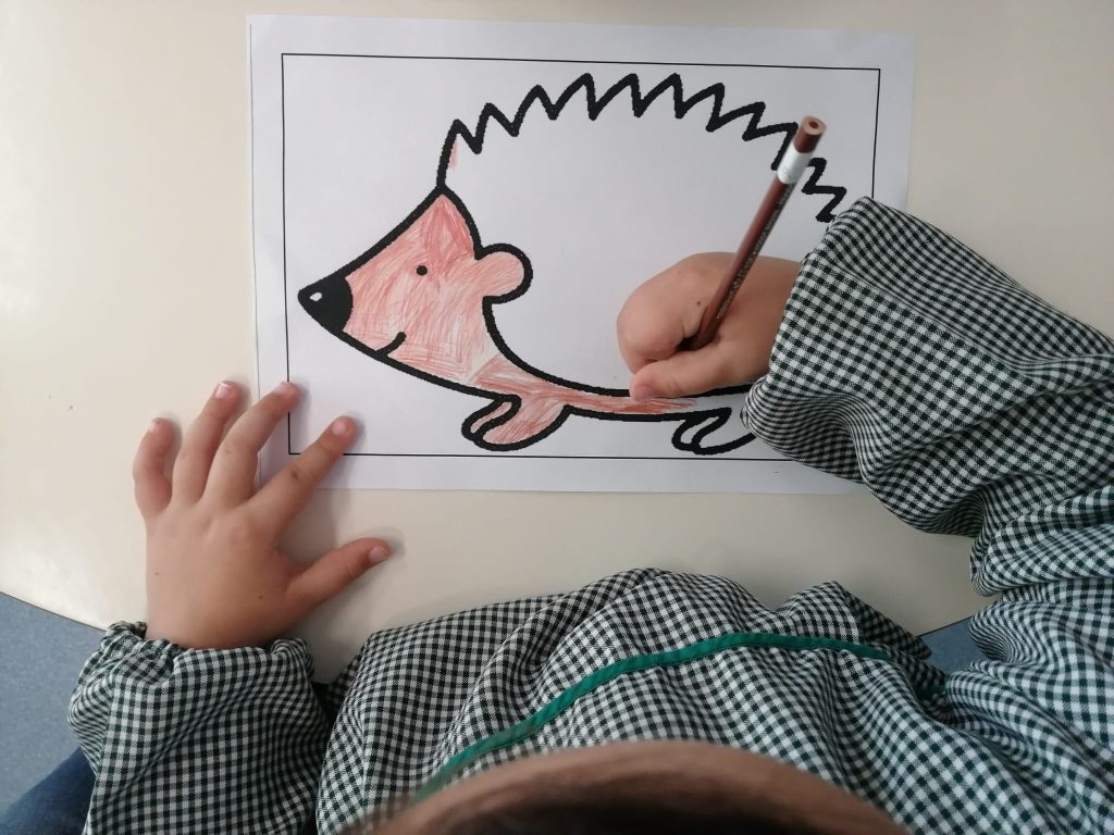 Imagem-WhatsApp-2025-10-05-as-14.51.10_ad8bdd8e-1024x768 As cores do outono (sala verde - JI da Mina)