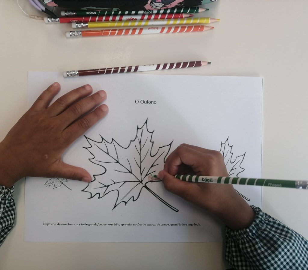 Imagem-WhatsApp-2025-10-05-as-14.57.58_b54e9484-1024x898 As cores do outono (sala verde - JI da Mina)