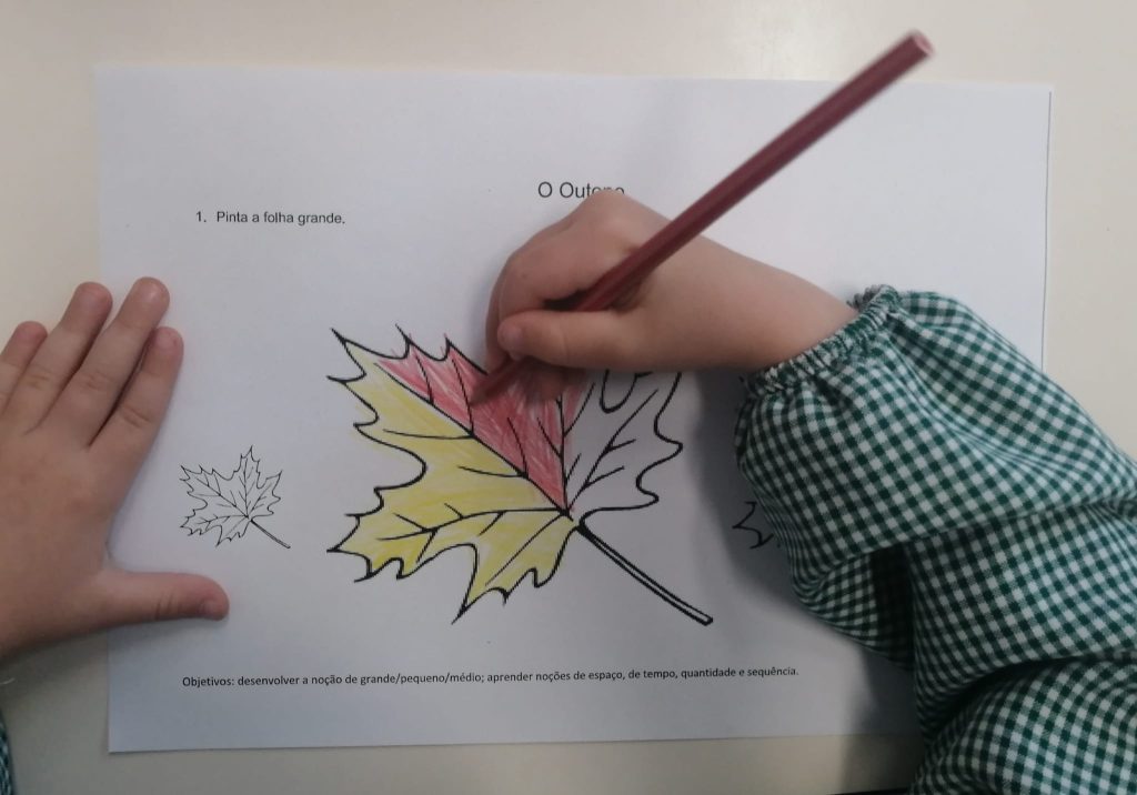 Imagem-WhatsApp-2025-10-05-as-14.57.59_585ebbb0-1-1024x716 As cores do outono (sala verde - JI da Mina)