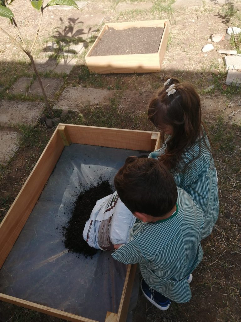 Imagem-WhatsApp-2025-10-12-as-20.28.00_b2706910-768x1024 Horta Pedagógica /Biológica (EB1/JI da Mina)