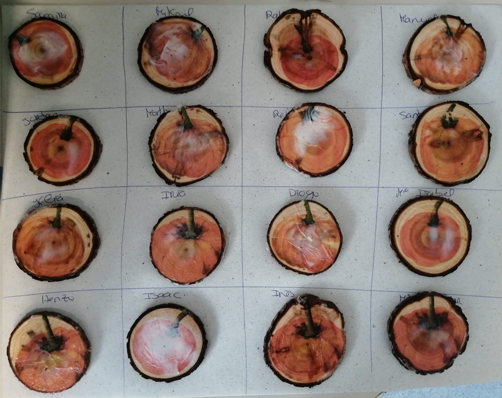 Imagem-WhatsApp-2025-10-26-as-18.00.47_8d78bd38-1024x813 A aprender somos felizes (sala verde - JI da Mina)