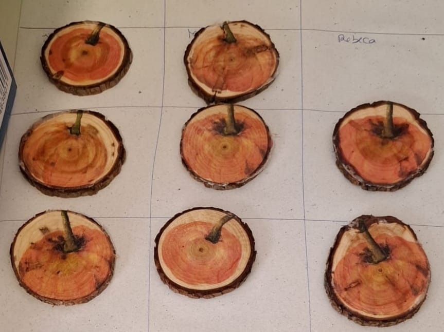 Imagem-WhatsApp-2025-10-26-as-18.00.48_c8505156 A aprender somos felizes (sala verde - JI da Mina)