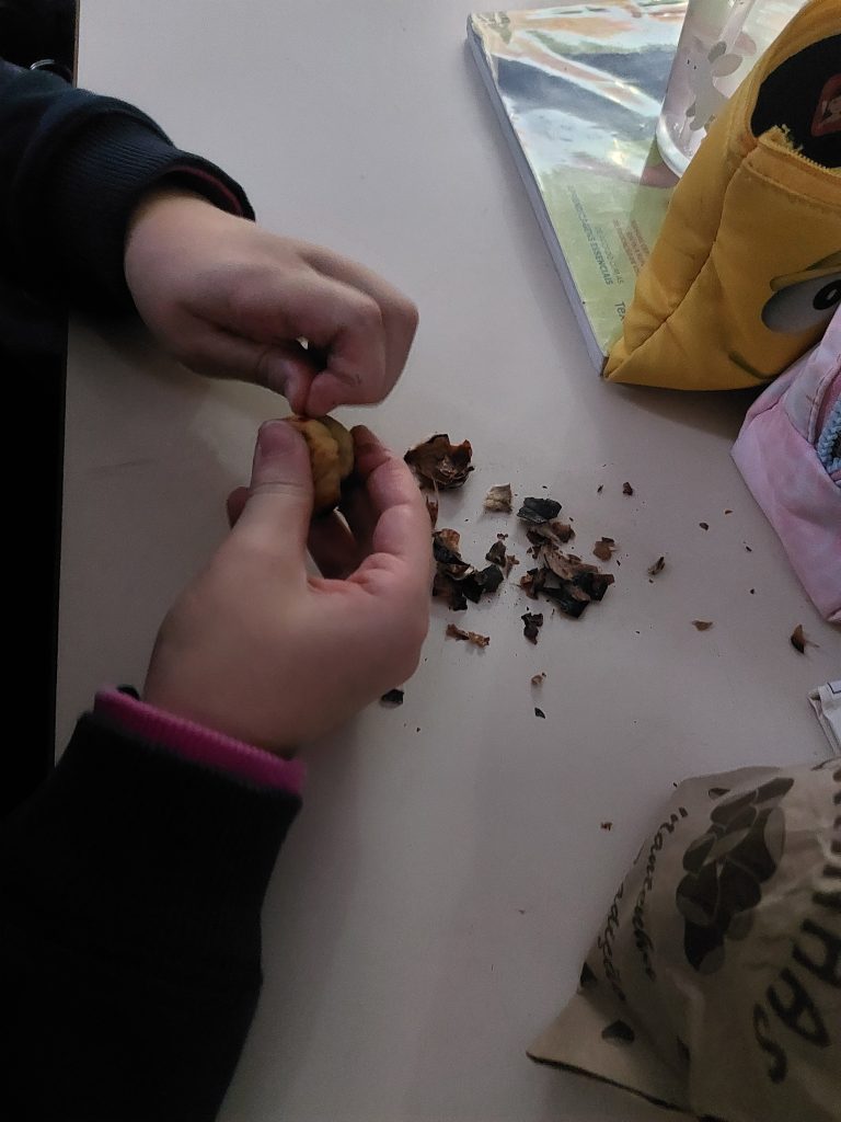 1000028968-768x1024 🍂 Celebração do S. Martinho! 🍂 - 3ºA