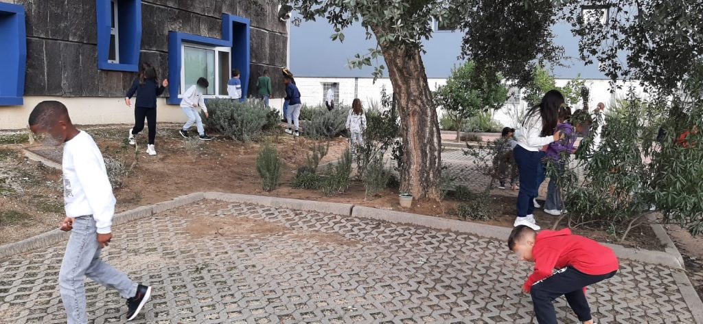 IMG-20251030-WA0022-2-1024x472 Observatório do Sobreiro e da Cortiça (3ºE)