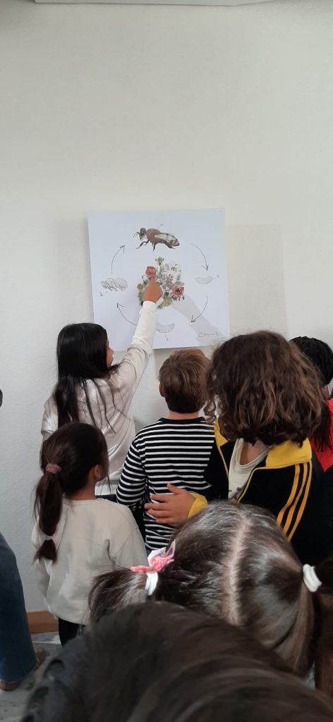 IMG-20251030-WA0030-1-472x1024 Observatório do Sobreiro e da Cortiça (3ºE)