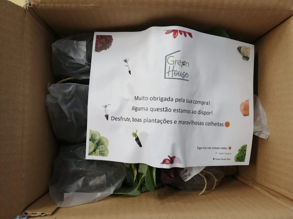 IMG-20251109-WA0052-1-1024x768 Horta Pedagógica /Biológica - Eb1/JI da Mina