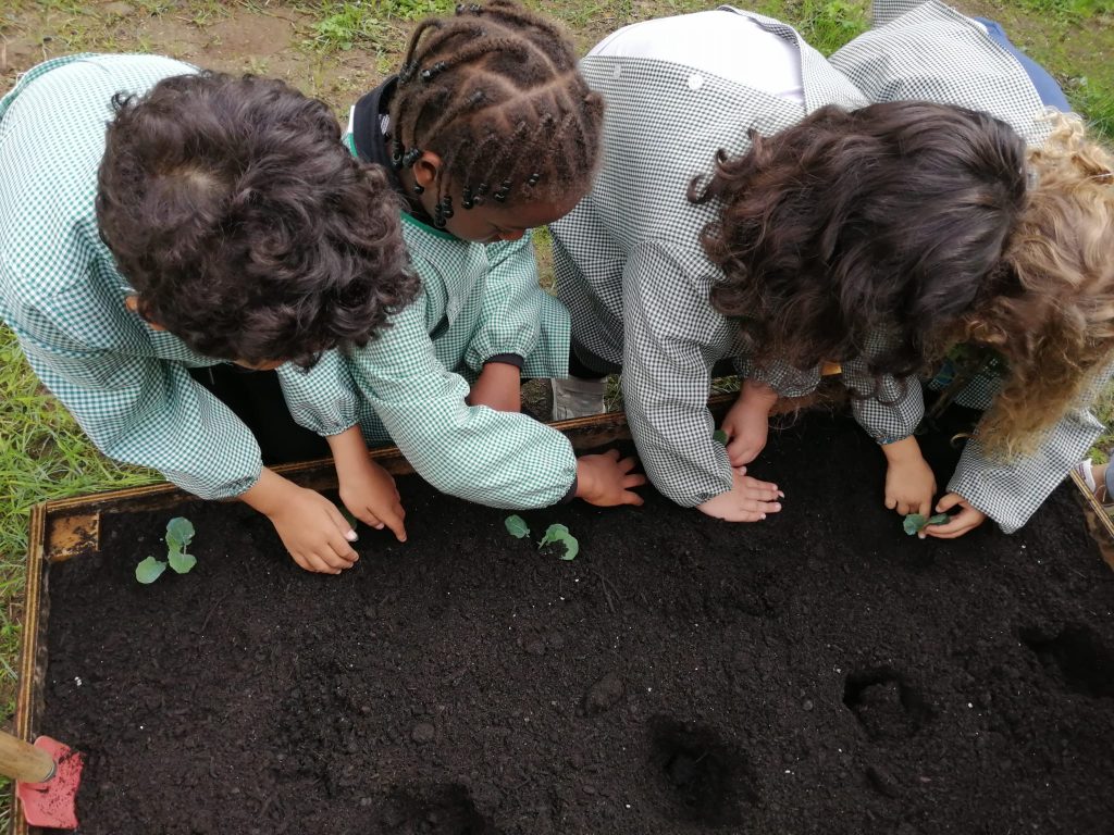 IMG-20251109-WA0057-1-1024x768 Horta Pedagógica /Biológica - Eb1/JI da Mina