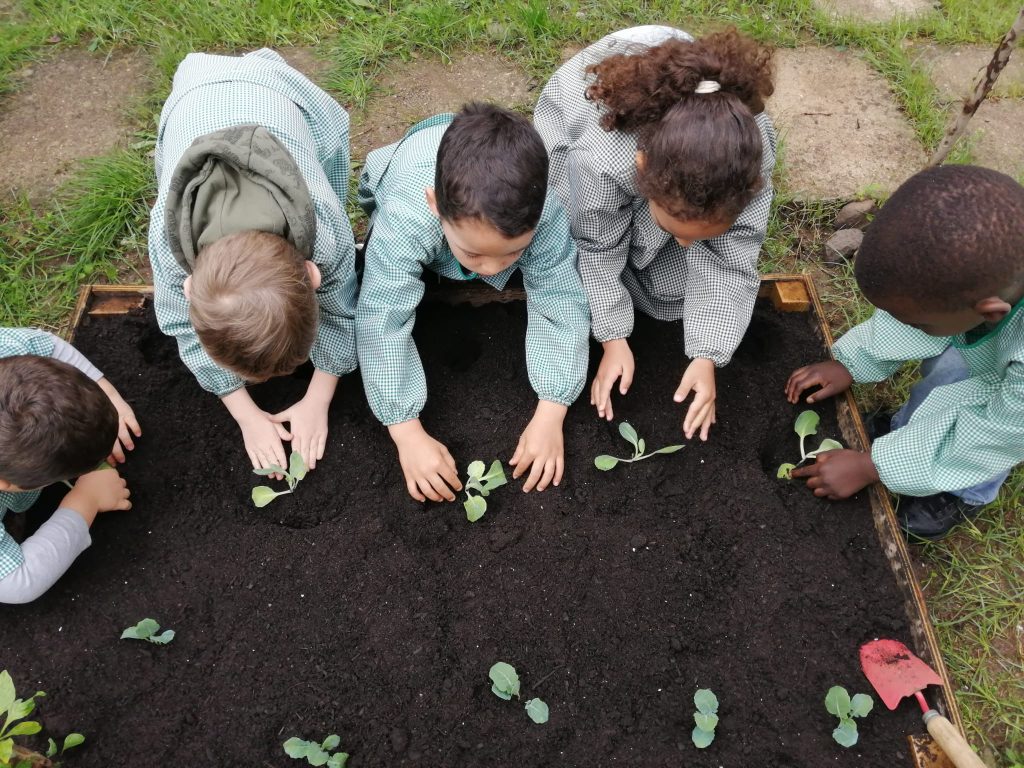 IMG-20251109-WA0058-1-1024x768 Horta Pedagógica /Biológica - Eb1/JI da Mina