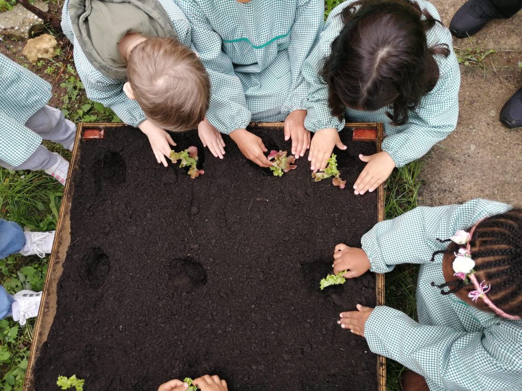 IMG-20251109-WA0059-1-1024x768 Horta Pedagógica /Biológica - Eb1/JI da Mina