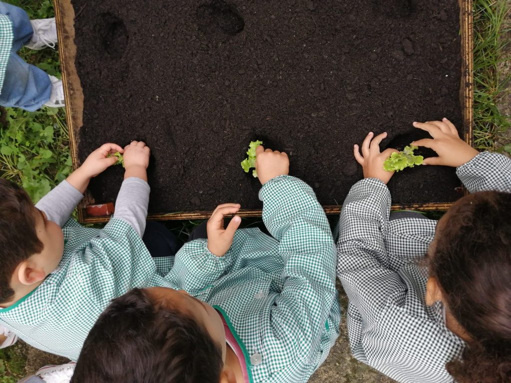 IMG-20251109-WA0060-1-1024x768 Horta Pedagógica /Biológica - Eb1/JI da Mina