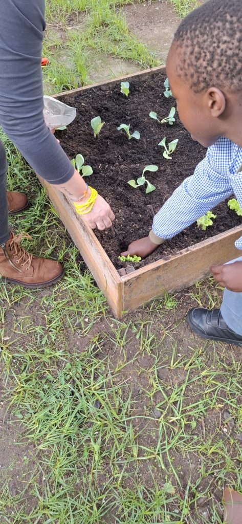 IMG-20251109-WA0062-1-473x1024 Horta Pedagógica /Biológica - Eb1/JI da Mina