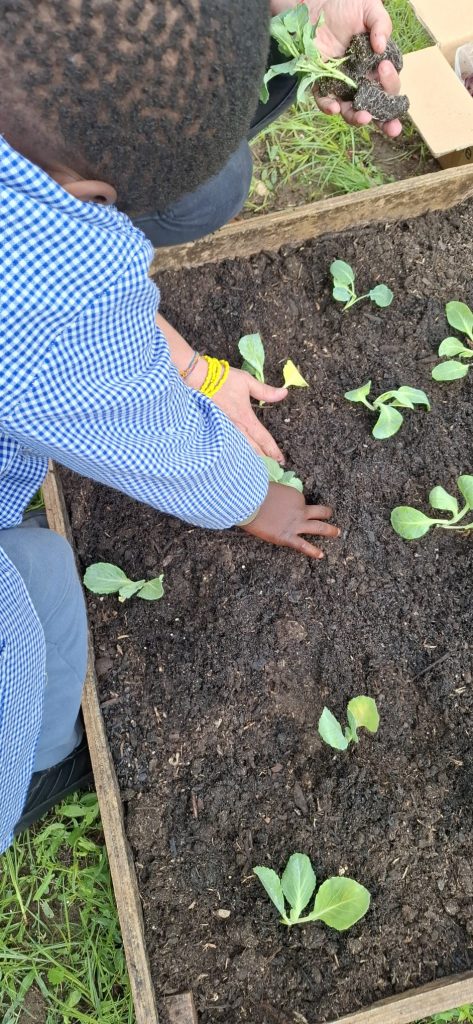 IMG-20251109-WA0065-1-473x1024 Horta Pedagógica /Biológica - Eb1/JI da Mina