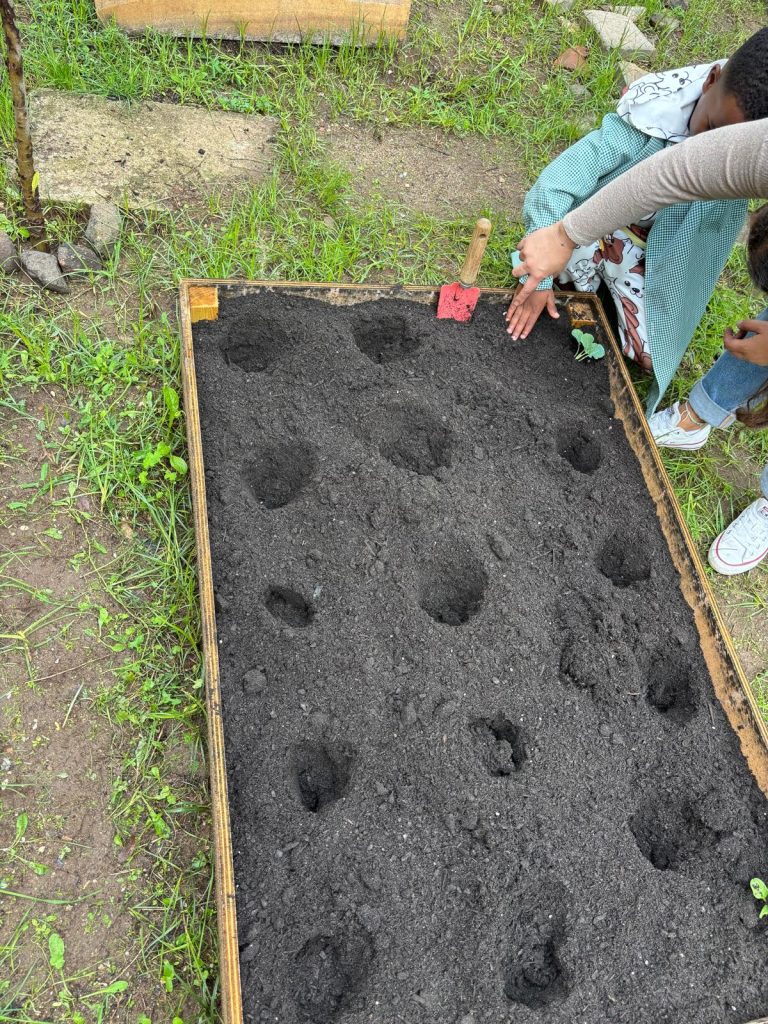 IMG-20251109-WA0067-1-768x1024 Horta Pedagógica /Biológica - Eb1/JI da Mina