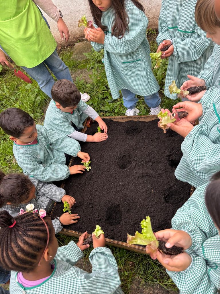 IMG-20251109-WA0071-1-768x1024 Horta Pedagógica /Biológica - Eb1/JI da Mina