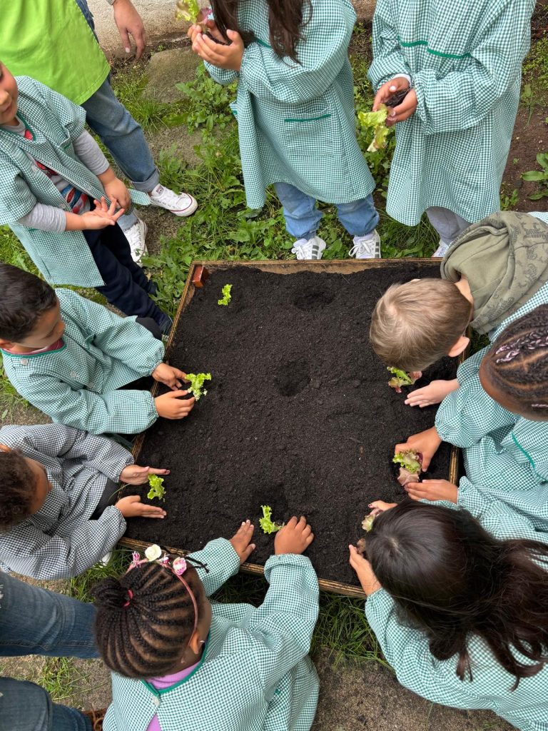 IMG-20251109-WA0073-1-768x1024 Horta Pedagógica /Biológica - Eb1/JI da Mina