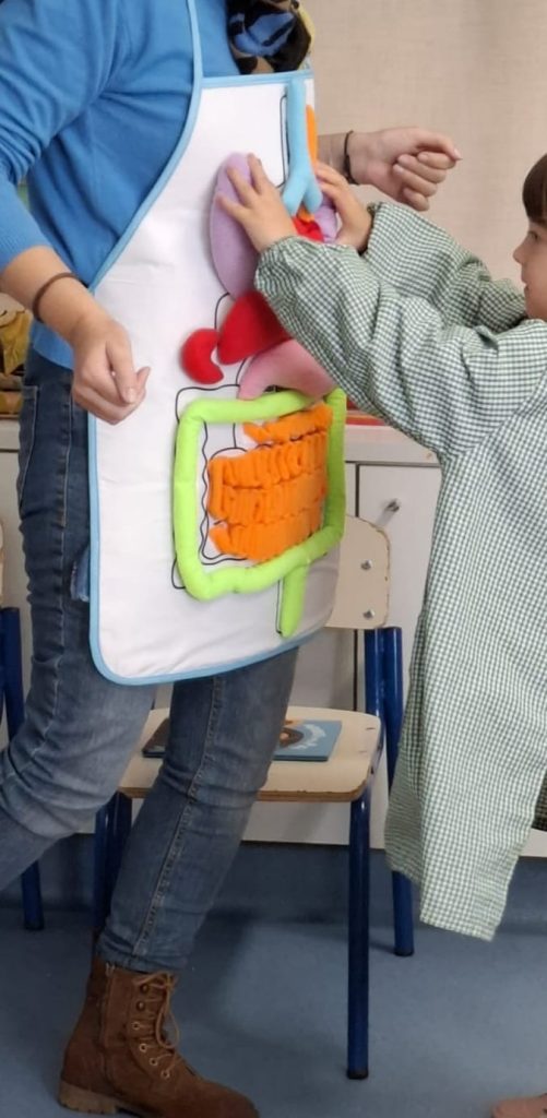 IMG-20251109-WA0095-501x1024 A aprender somos felizes (sala verde - JI da Mina)