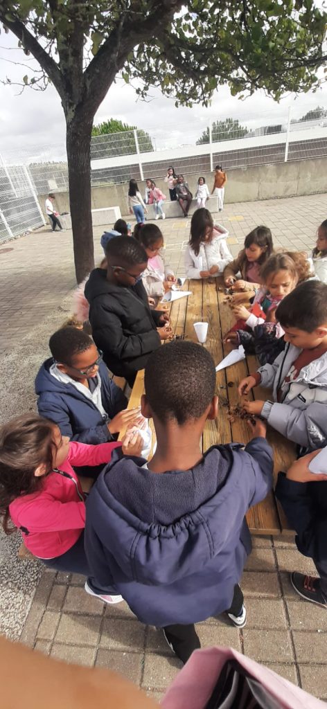 IMG-20251112-WA0010-472x1024 S. Martinho - EB1/JI Aprígio Gomes