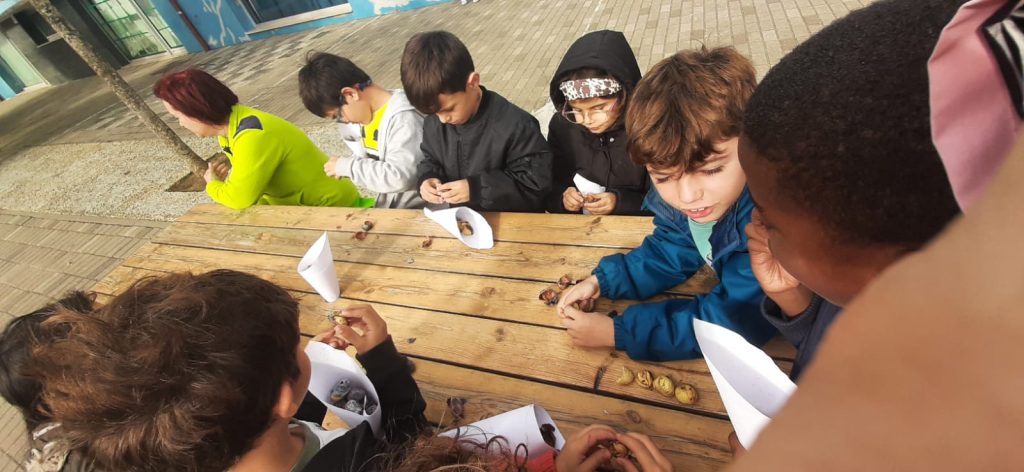 IMG-20251112-WA0011-1024x472 S. Martinho - EB1/JI Aprígio Gomes