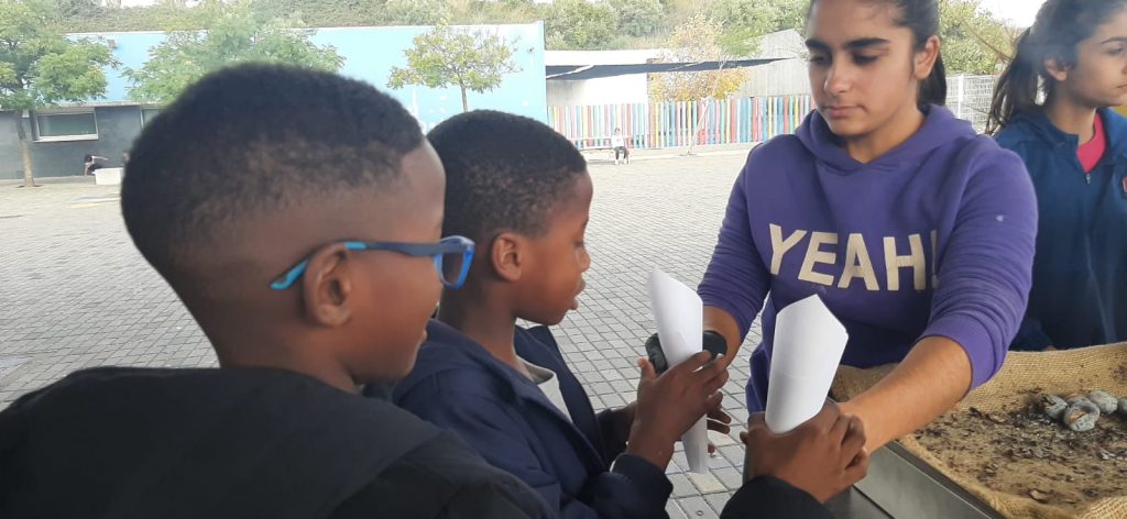 IMG-20251112-WA0012-1024x472 S. Martinho - EB1/JI Aprígio Gomes