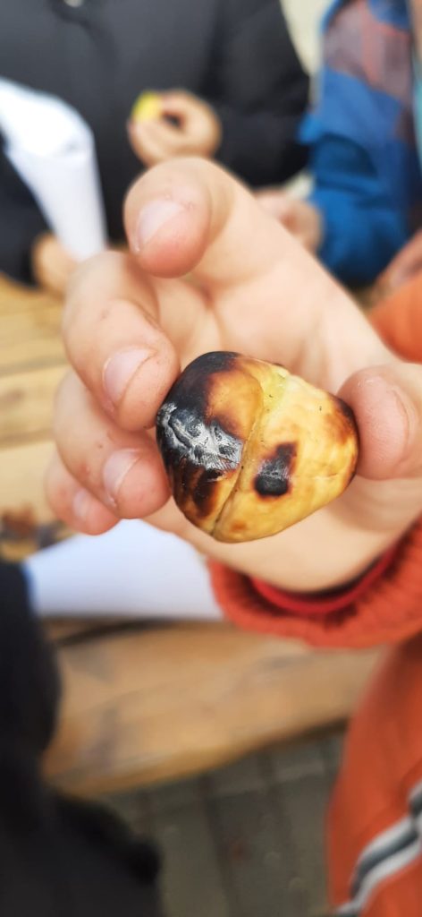 IMG-20251112-WA0013-472x1024 S. Martinho - EB1/JI Aprígio Gomes