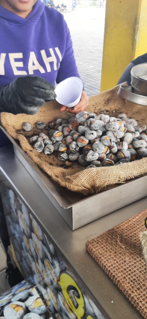 IMG-20251112-WA0015-472x1024 S. Martinho - EB1/JI Aprígio Gomes