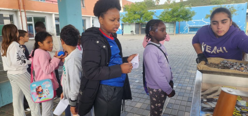 IMG-20251112-WA0059-1024x478 S. Martinho - EB1/JI Aprígio Gomes