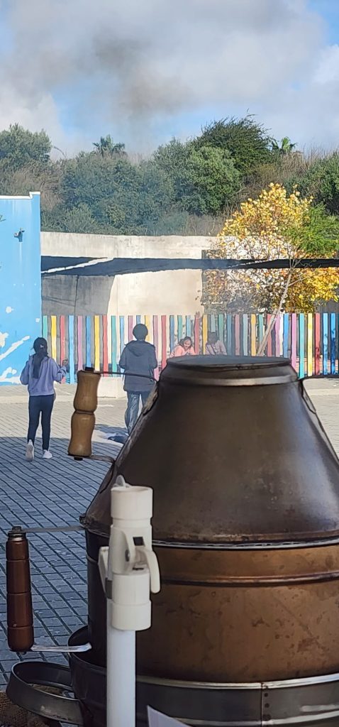 IMG-20251112-WA0060-478x1024 S. Martinho - EB1/JI Aprígio Gomes