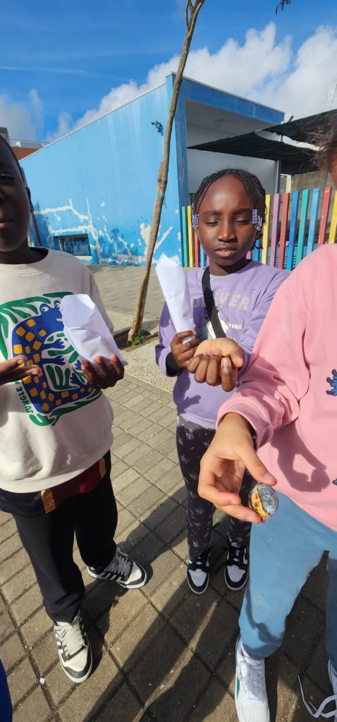 IMG-20251112-WA0061-478x1024 S. Martinho - EB1/JI Aprígio Gomes