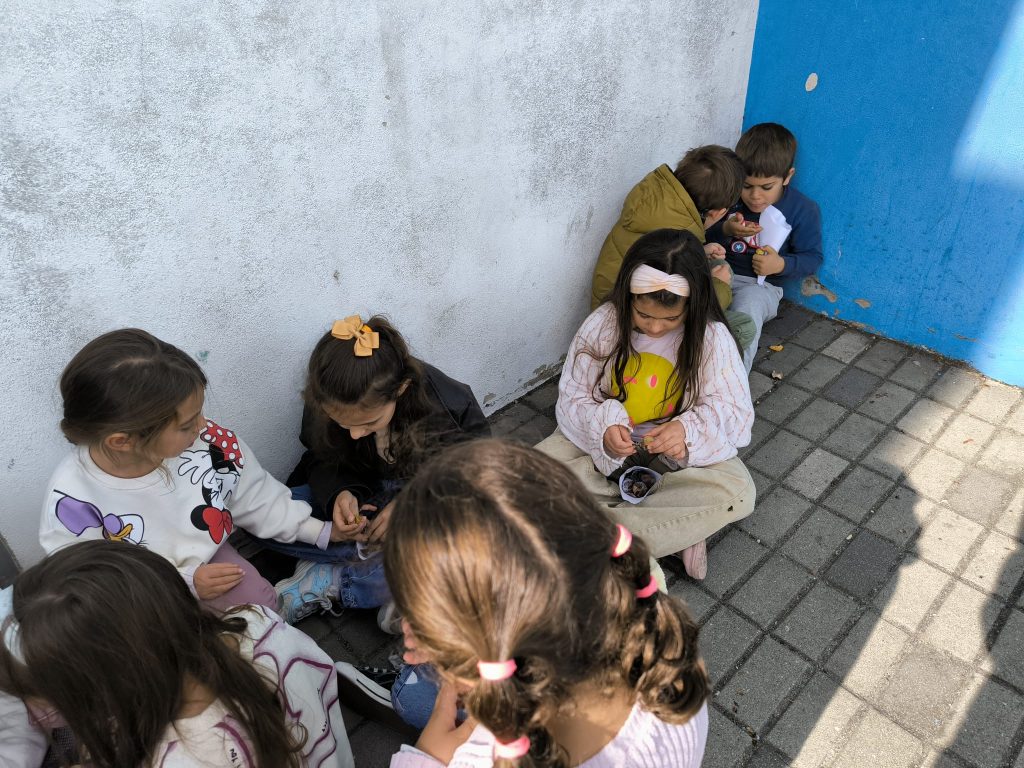 IMG-20251112-WA0097-1024x768 S. Martinho - EB1/JI Aprígio Gomes