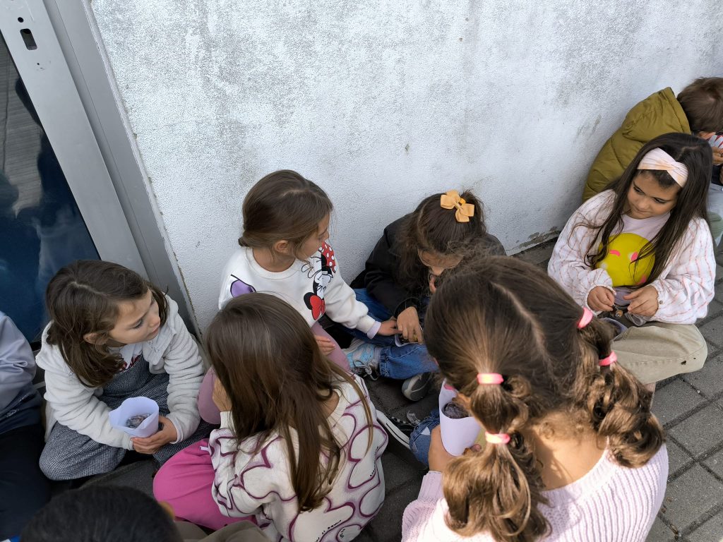 IMG-20251112-WA0098-1024x768 S. Martinho - EB1/JI Aprígio Gomes